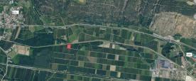 Laas: Obstwiese mit ca. 4.500 m² zu verkaufen