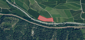 Schlanders/Göflan: Obstwiese mit ca. 5.670 m² zu verkaufen