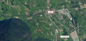 Glurns: Ackerweide mit ca. 3.800 m² zu verkaufen
