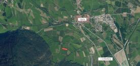 Glurns: Wiese mit ca. 3.800 m² zu verkaufen