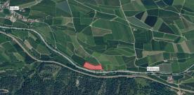 Schlanders/Göflan: Obstwiese mit ca. 5.670 m² zu verkaufen