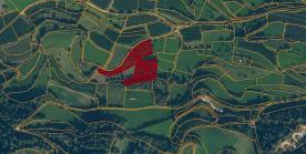 Laas / Tschengls: Obstbaufähiges Grundstück mit ca. 6.800 m² zu verkaufen