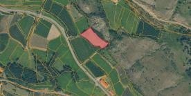 Wiese zwischen Schluderns und Tartsch