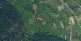 Glurns: Wiese mit ca. 3.800 m² zu verkaufen