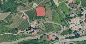 Kastelbell: Obstwiese mit ca. 1.700 m² zu verkaufen