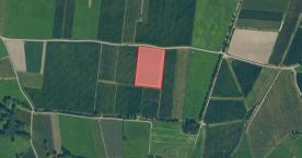 Prad am Stilfserjoch: Obstbaufähiges Grundstück mit ca. 8.800 m² zu verkaufen