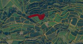 Laas / Tschengls: Birnenanger mit ca. 4.100 m² zu verkaufen