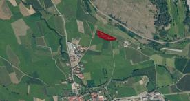 Glurns: Obstbaufähige Wiese mit ca. 7.800 m² zu verkaufen