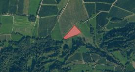 Laas / Tschengls: Obstbaufähige Wiese mit ca. 3.500 m² zu verkaufen