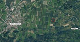 Laas/Tschengls: Obstwiese mit ca. 2.410 m² zu verkaufen