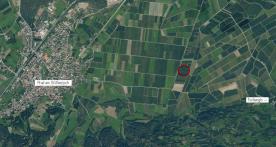 Laas / Tschengls: Obstwiese mit ca. 2.410 m² zu verkaufen