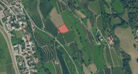 Obstbaufähige Wiese am Dorfrand von Schluderns zu verkaufen