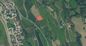 Wiese, obstbaufähig am Dorfrand von Schluderns zu verkaufen