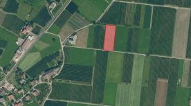 Prad am Stilfserjoch: Obstwiese mit ca. 3.600 m² zu verkaufen