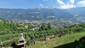 Geschlossene Höfe in Panoramalage in Naturns zu verkaufen
