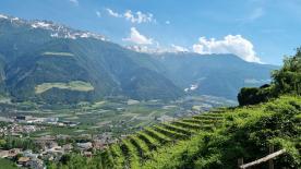 Geschlossene Höfe in Panoramalage in Naturns zu verkaufen