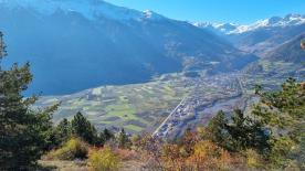 Landwirtschaftliches Grundstück in Prad am Stilfserjoch zu verkaufen
