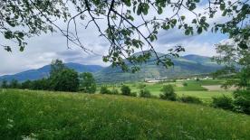 Prad am Stilfserjoch/Agums: Landwirtschaftliches Grundstück mit ca. 4.300 m² zu verkaufen