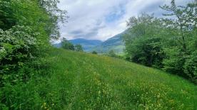 Prad am Stilfserjoch/Agums: Landwirtschaftliches Grundstück mit ca. 4.300 m² zu verkaufen