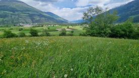 Prad am Stilfserjoch/Agums: Landwirtschaftliches Grundstück mit ca. 4.300 m² zu verkaufen