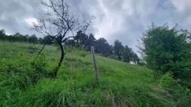 Prad am Stilfserjoch/Agums: Weide mit ca. 5.240 m² zu verkaufen