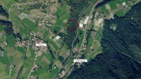 Martell - Wald in guter Lage zu verkaufen