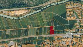 Latsch: Obstwiese mit ca. 1.910 m² zu verkaufen