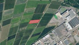 Obstwiese in Prad, nähe der Genossenschaft in sehr guter Lage zu verkaufen