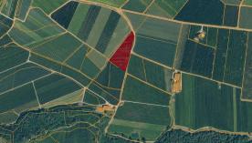 Tschars: Obstwiese mit ca. 4.500 m² zu verkaufen