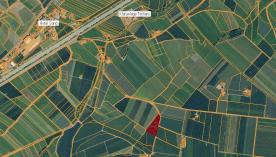 Tschars: Obstwiese mit ca. 4.540 m² zu verkaufen
