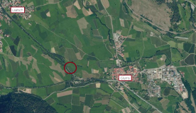 Glurns: Obstwiese mit ca. 3.000 m² zu verkaufen
