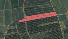 Obstwiese mit ca. 18.000 m² in Nals zu verkaufen
