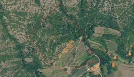 Geschlossene Höfe in Panoramalage in Naturns zu verkaufen