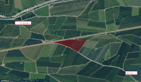 Latsch / Morter: Obstwiese mit ca. 6.600 m² zu verkaufen