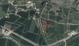 Obstwiese in Goldrain zu verkaufen