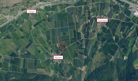 Tabland: Obstwiese zu verkaufen