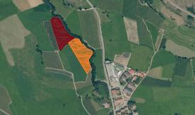 Glurns: Obstwiese mit ca. 1,7 ha zu verkaufen
