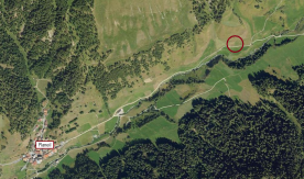 Mals/Planeil: Landwirtschaftliches Grundstück mit ca. 2.700 m² zu verkaufen