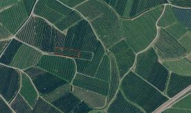 Schlanders/Kortsch: Obstwiese mit ca. 1.340 m² zu verkaufen