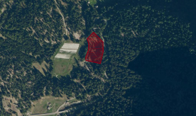 Martell: Mahd, ca. 5.400 m² mit Stadel zu verkaufen