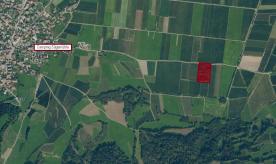 Prad am Stilfserjoch: Obstbaufähiges Grundstück mit ca. 8.800 m² zu verkaufen
