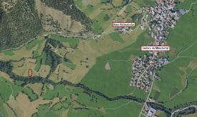 Taufers im Münstertal: Futterwiese mit ca. 1.800 m² zu verkaufen
