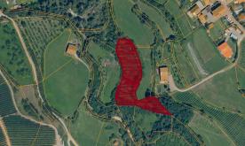 Prad/Agums: Landwirtschaftliches Grundstück mit ca. 4300 m² zu verkaufen