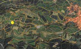 Laas/Tschengls:  Obstwiese zu verkaufen 