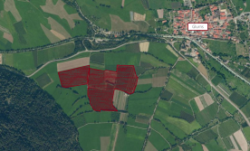 Glurns: Obstwiese mit ca. 8,6 ha      zu verkaufen