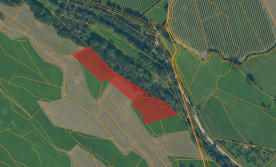 Wiese mit ca. 4.660 m² in Laatsch zu verkaufen