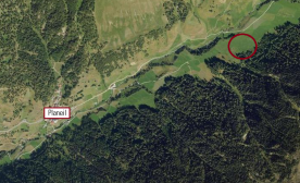 Futterwiese mit ca. 1,1 ha in Planeil zu verkaufen