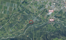 Schlanders / Kortsch: Obstwiese mit ca. 4.700 m² zu verkaufen