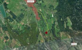 Schluderns: Obstwiese mit ca. 11.700 m² zu verkaufen
