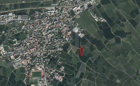 Obstwiese in Latsch